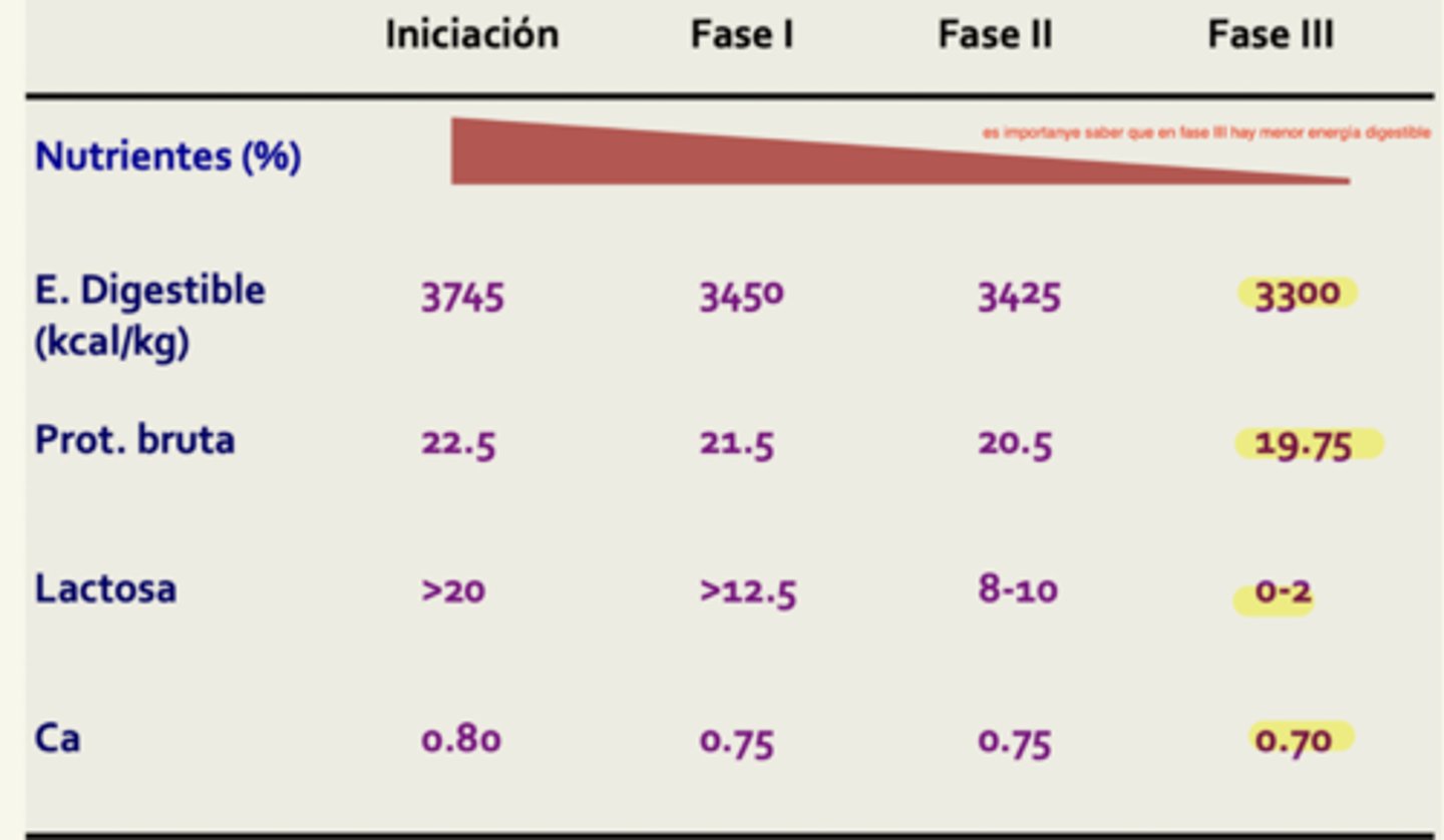 <p>iniciación</p><p>el animal come menos</p>