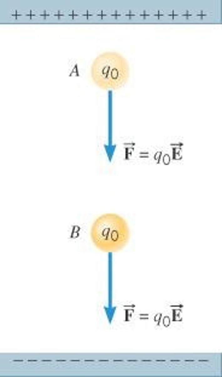 <p>F = qE, where q is charge.</p>