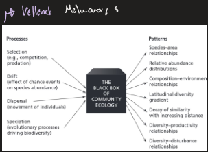 <p>Four factors to explain species diversity</p>