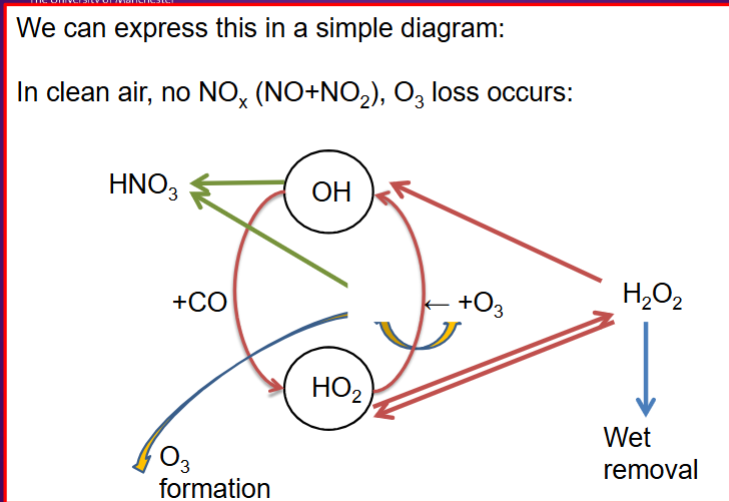 <p>Explain this image:</p>