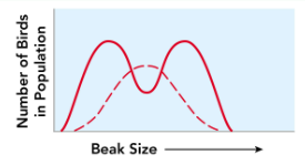 <p>This is an example of?</p>