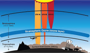 <p>Ozone Layer</p>