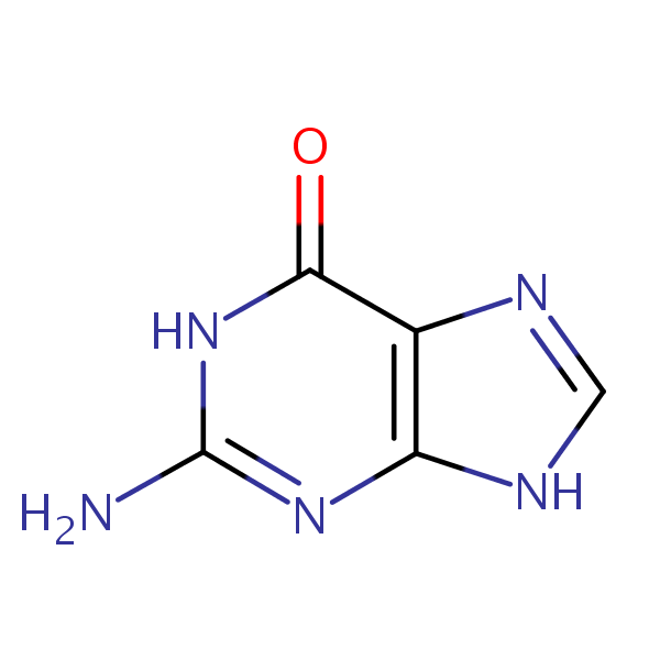 Chapter 3 DNA, RNA, and the Flow of Information Flashcards Knowt