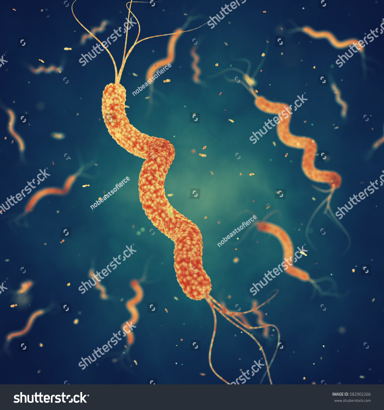 <ul><li><p>1 of the 6 basic morphological structures of bacteria</p></li><li><p>Corkscrew </p></li></ul><p></p>