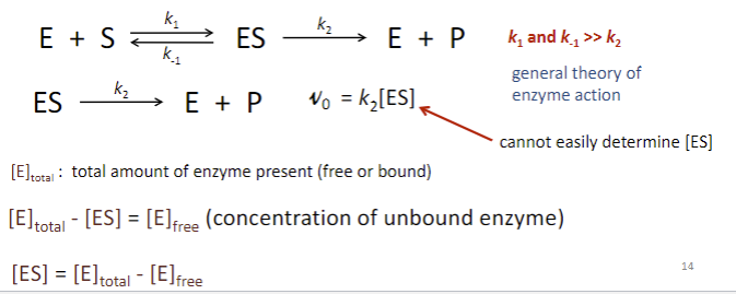 <p><span style="font-family: sans-serif">1) Simple, single step enzymatic reaction</span><br><span style="font-family: sans-serif">2) assume [S]&gt;[E] (not necessarily saturating), &amp; [S] doesn’t change over time of initial velocity </span><br><span style="font-family: sans-serif">3) rate limiting step given by k2 (1st order)</span><br><span style="font-family: sans-serif">4) no chemical changes to substrate in fast reversible substrate binding/dissociation step (formation of ES complex)</span><br><span style="font-family: sans-serif">5) begin rxn with only enzyme &amp; substrate, consider time frame that deals with initial velocities, contribution of reverse rxn (E + P → S) is negligible</span></p>