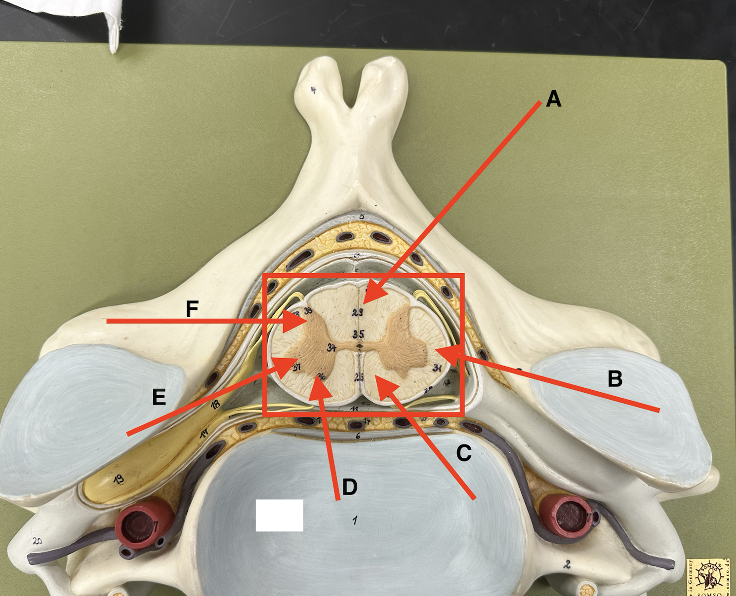 <p>Name point A.</p>