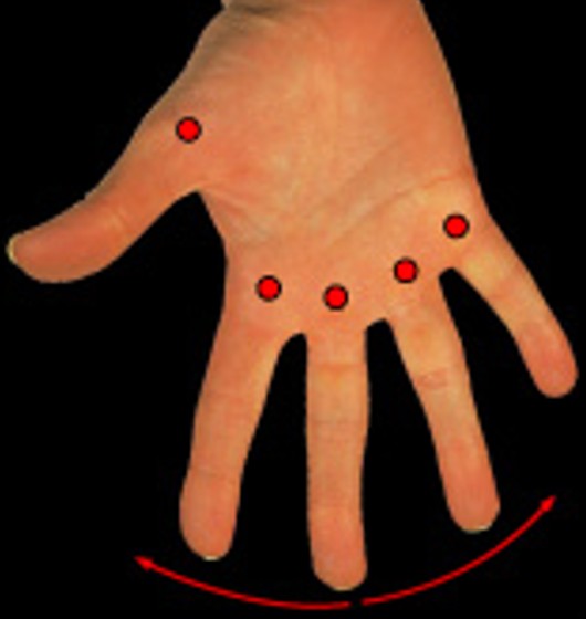 <p>Which synovial joint movement is:</p><ul><li><p>Moves away from midline</p></li></ul><p></p>
