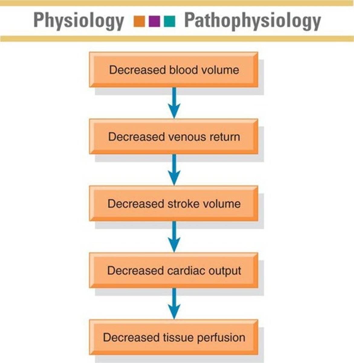 <p>A condition caused by too little circulating intravascular fluid volume.</p>