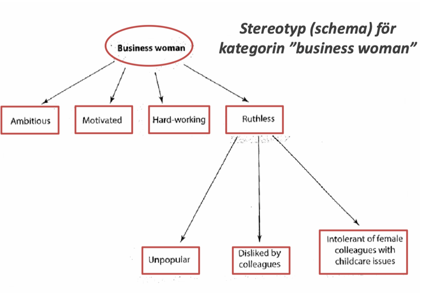 <p>Det är ett slags schema. </p><p>Socialt delatde generaliseringar ommedlemmar i en social grupp- kan alltså inte bara vara su som tycker något om någon. </p><p>det är inte nödvändigtvis negativt och är ofta funktionella baserat på erfarenheter och förändras långsamt. </p><p>Stereotyper kan vara mer eller mindre komplexa. ex att norrmän är glada är en enkel stereotyp men tex att en business women är en mer komplex stereotyp. </p><p>De är oftast negativa. </p>