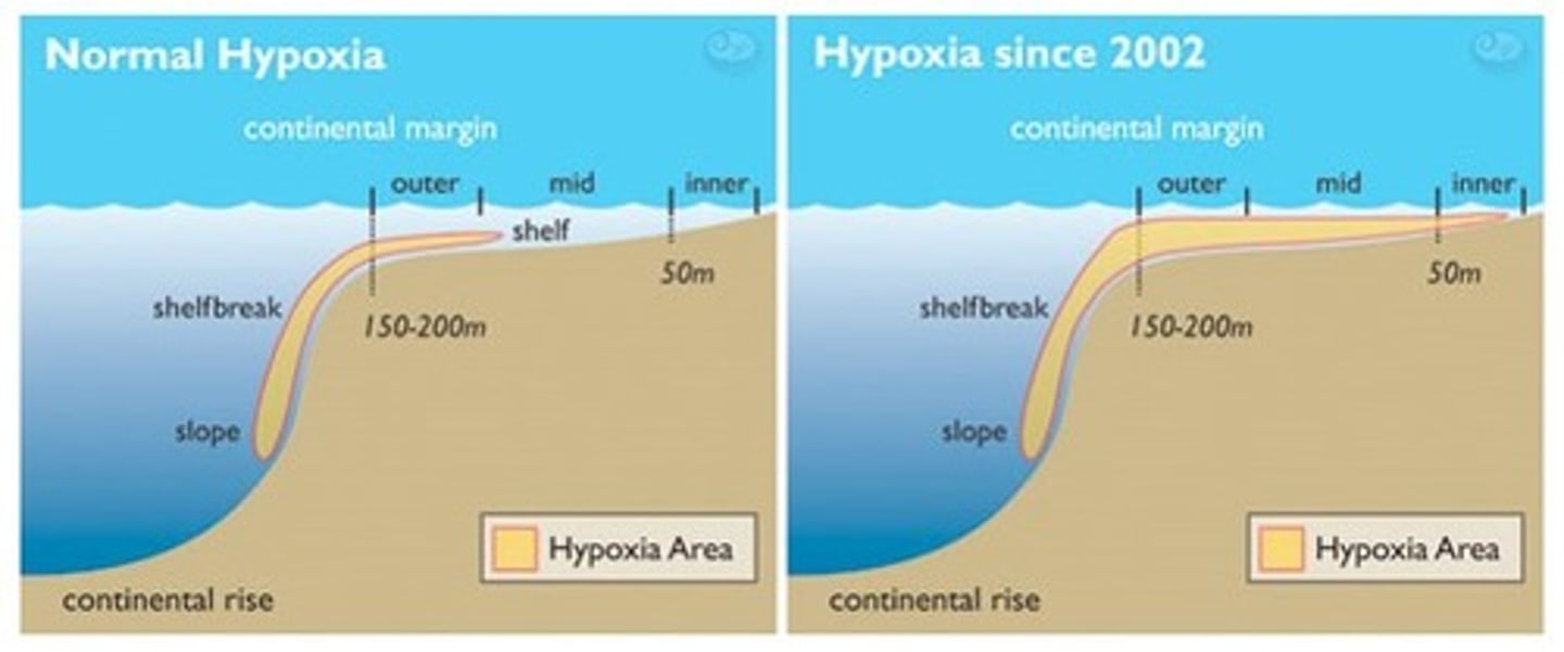 <p>Pertaining to a low level of dissolved oxygen</p>