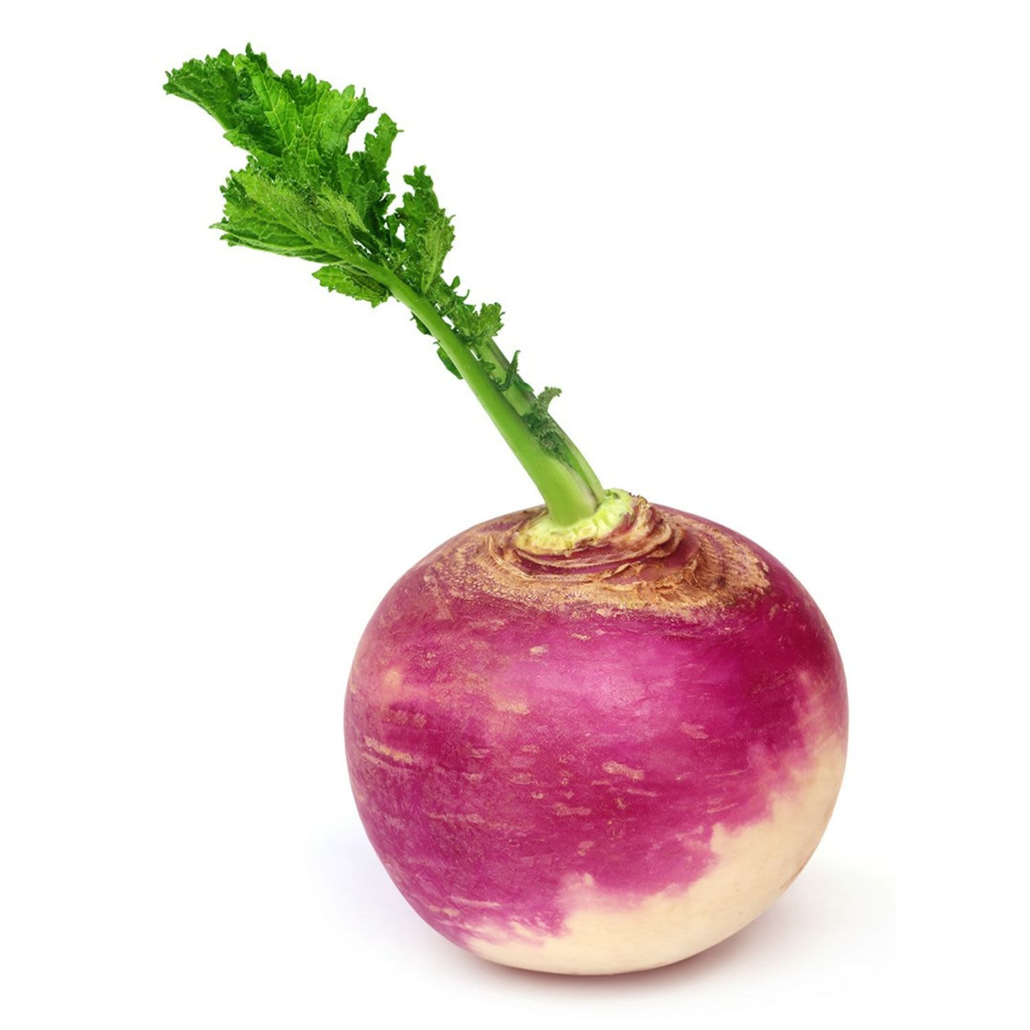 <p>Turnips (same code as beetroot)?</p>