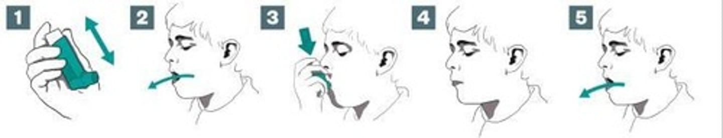 <p>To allow the medication to settle in the lungs for better absorption.</p>