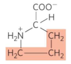 <p>What is this?</p>