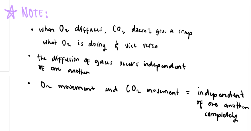 <p>what is internal respiration ?</p>