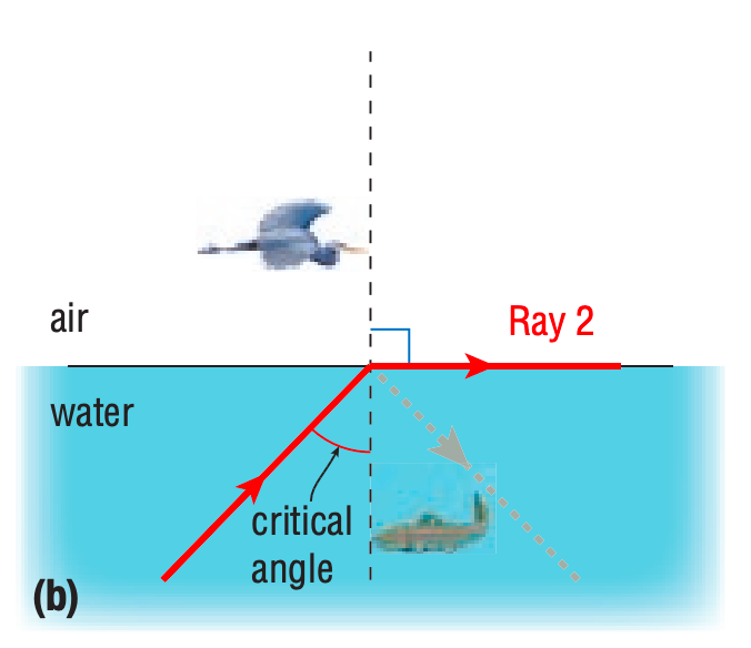 <p>Angle of incidence that results in a 90<strong>° </strong>angle of refraction</p><p>(E.g. critical angle of water is 48.8<strong>°</strong>)</p>