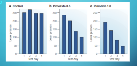 <p>how does primozide impact behaivor?</p>