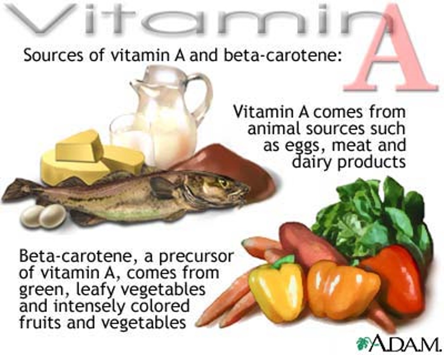 <p>eggs, meat, dairy, green leafy veggies, and intensely colored vegetables</p>