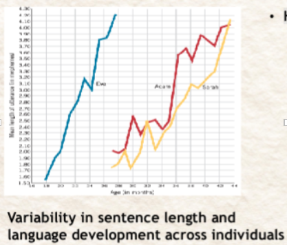 <p><span style="background-color: inherit; line-height: 20.7px; color: windowtext;"><span>Individual differences&nbsp;</span></span><span style="line-height: 20.7px; color: windowtext;"><span>&nbsp;</span></span></p><p class="Paragraph SCXO174519817 BCX0" style="text-align: left;"><span style="background-color: inherit; line-height: 20.7px; color: windowtext;"><span>Hart &amp; Risley (1995)</span></span><span style="line-height: 20.7px; color: windowtext;"><span>&nbsp;</span></span></p>