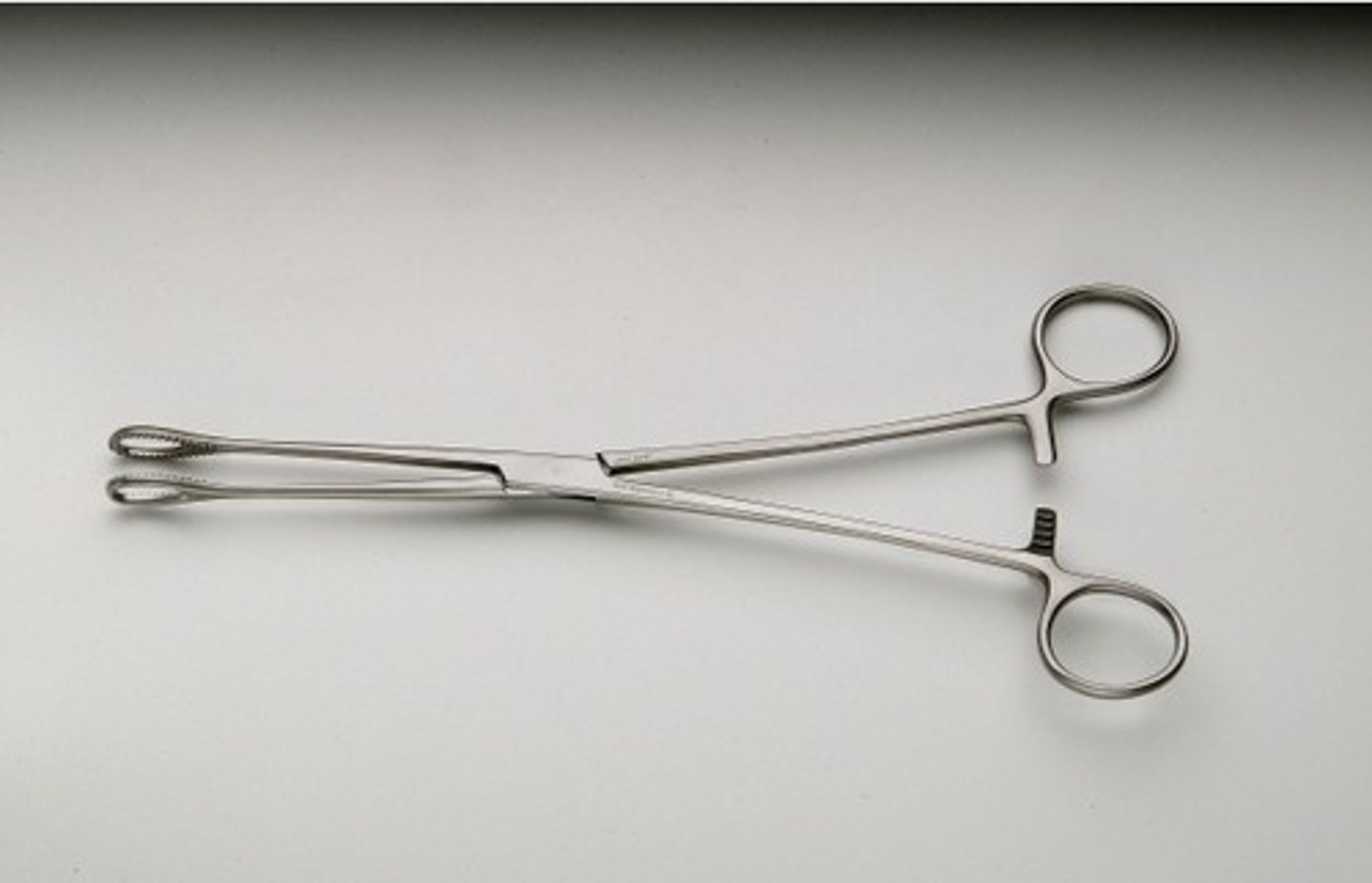 <p>sponge forcep, used for gasping or holding something.</p>