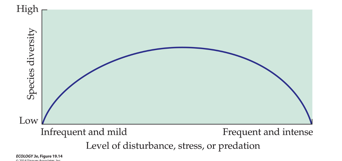 <p>Explain Components' of Connell’s Intermediate disturbance hypothesis</p>