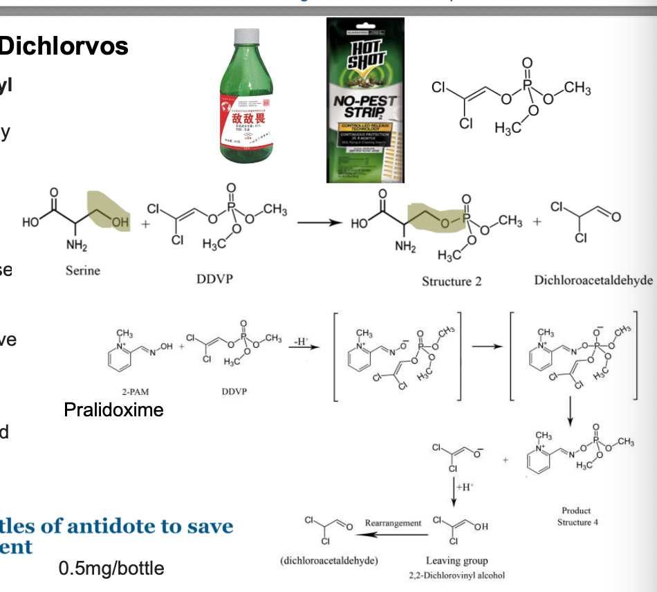 <ul><li><p><strong>dichlorvos (2,2-dichlorovinyl dimethyl phosphate, DDVP</strong>) is an OP widely used as an insecticide to control household pests and protecting stored products from insects</p></li><li><p>dichlorvos inhibit acetylcholinesterase associated with/the nervous system of insects; claimed to damage DNA of insects</p></li><li><p>antidotes for dichlorvos are atropine and pralidoxime</p></li></ul><p></p>