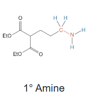 <p>Primary amine</p>