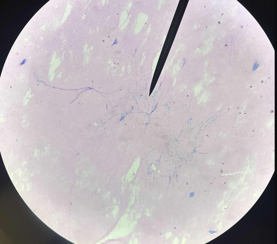 <p>What is this?</p>