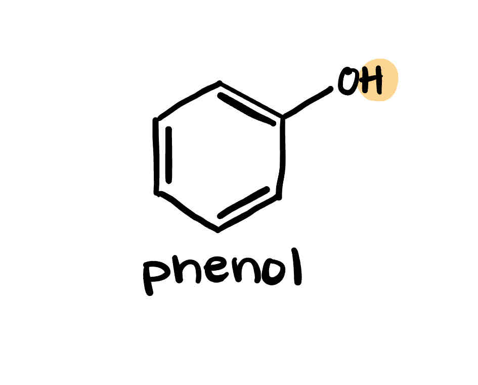 <p>phenol</p>