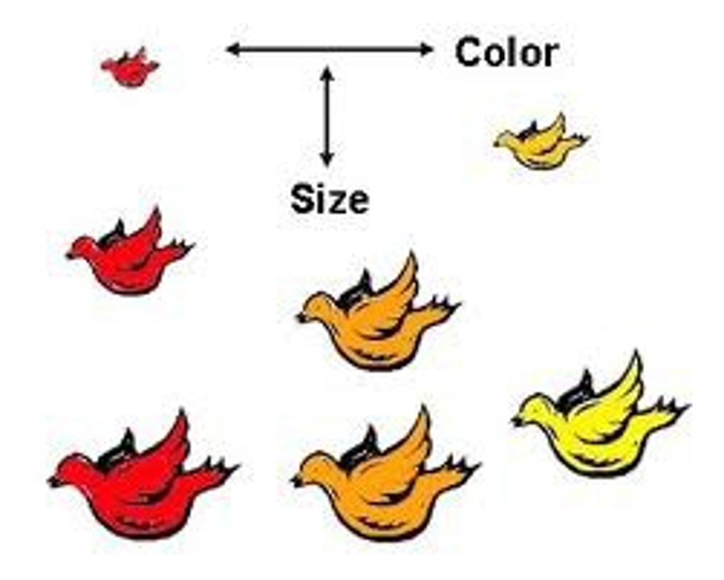 <p>similarity</p>