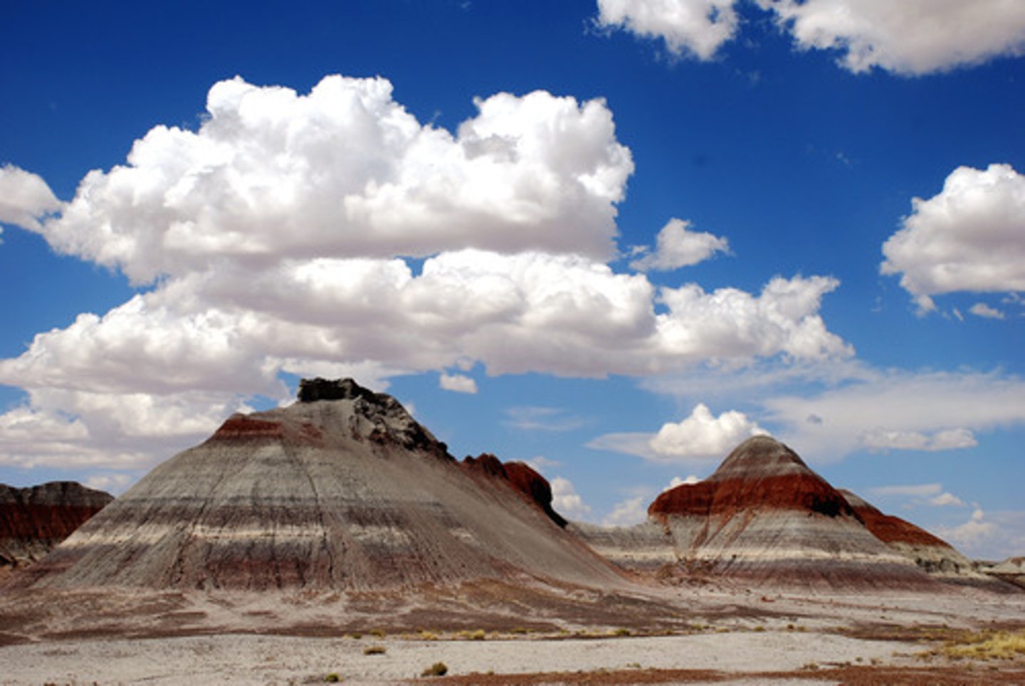<p>Arizona</p>