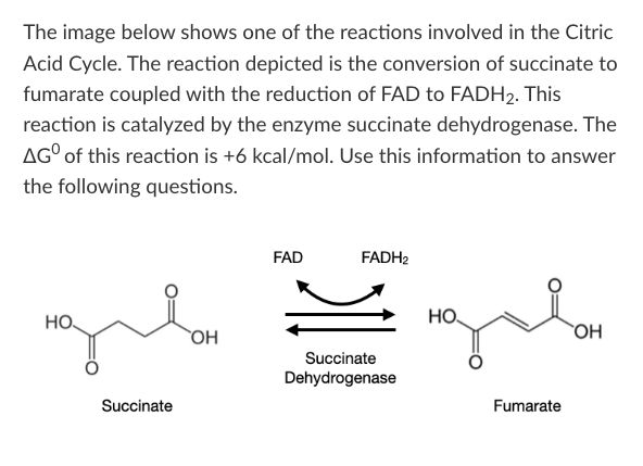<p>T/F: Succinate dehydrogenase will be used up during this reaction, so it must be replenished by the cell if the reaction is to continue occurring over time.</p>