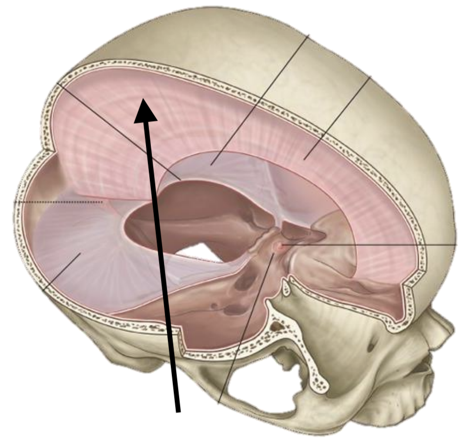 <p>Name the structure</p>