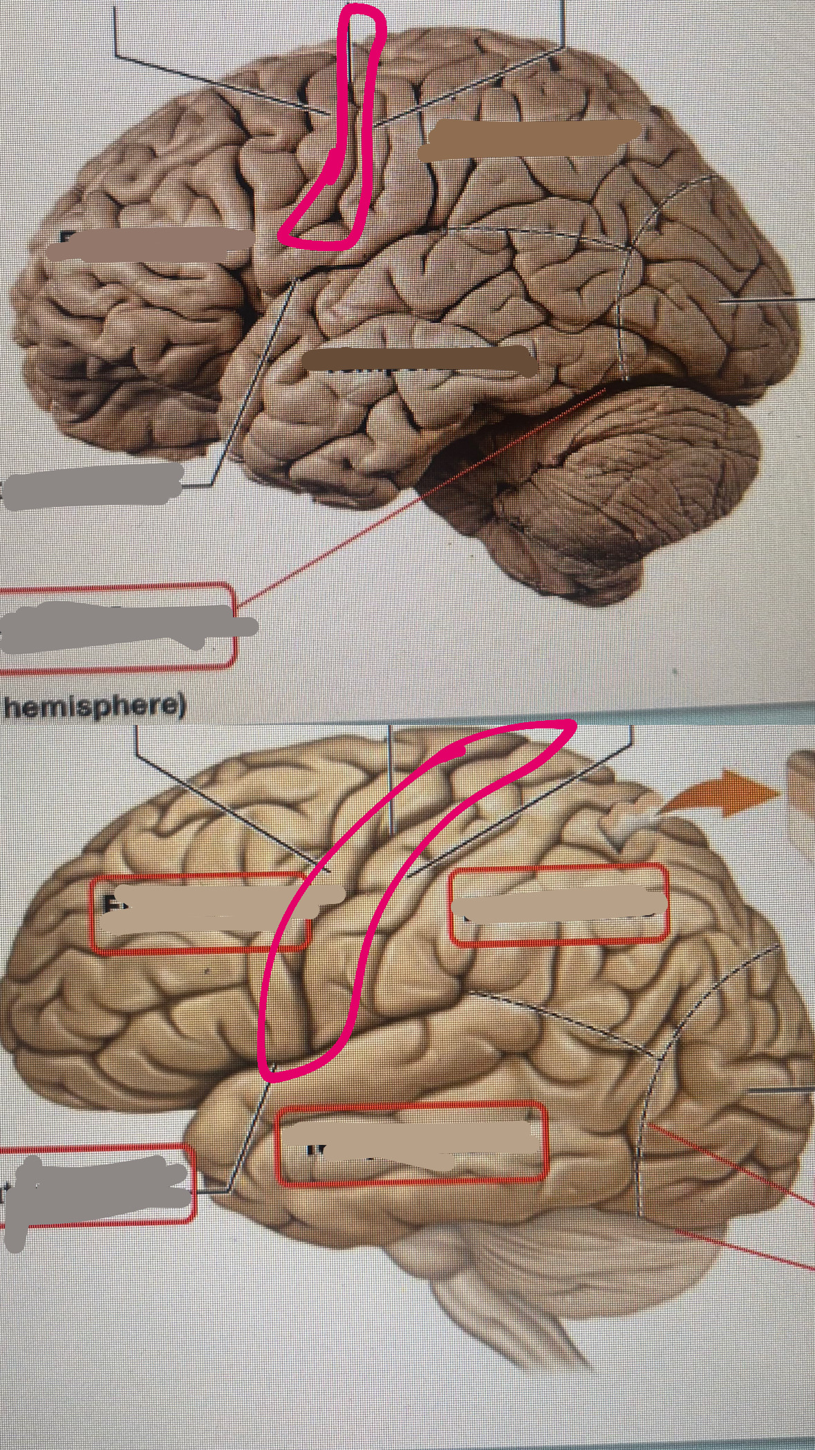 knowt flashcard image