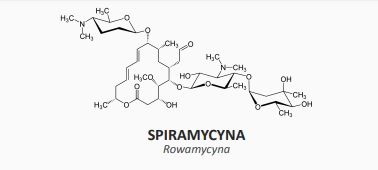 <p>antybiotyk z grupy makrolidów niepolienowych zawierająca 16-członowy pierścień laktonowy</p><p>inne leki na toksoplazmozę: sulfadiazyna, klindamycyna i pirymetamina</p>
