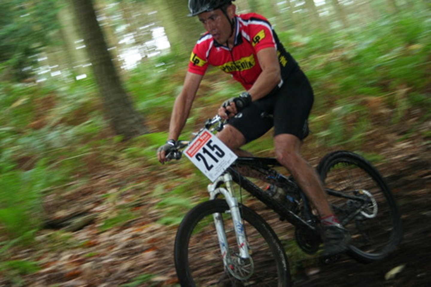 <p>mountain bike</p>