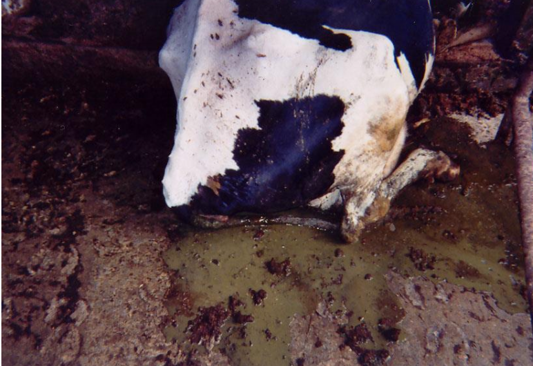 <p>low, it a lot, really big deal</p>