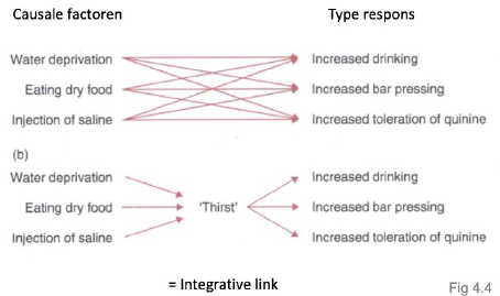 <p>■ Verandering motivationele staat verklaard veel variatie in gedrag</p><p>● Vb Rebound effect</p><p>○ Na deprivatie van een bepaalde gedraging, het daarna extra doen (inhalen van gedrag)</p><p>○ Vb stofbaden</p><p>■ Helpt bekrachtigende waarde externe stimuli te bepalen</p><p>● Vb veel gebruikt bij leren</p><p>● Kan ook interne motivatie bekrachtigen</p><p>○ Vb deken op bij paarden</p><p>■ Kennis van motivatie is een bijdragen bij het begrijpen van de hiërarchie</p><p>&nbsp;● Vb consumer demand testen</p><p>&nbsp;● Hoe hard wilt een dier voor iets werken</p><p>■ De uiteindelijke uitvoering van het gedrag (consumptieve fase) hangt ook af van de motivatie</p><p>■ Motivaties hangen nauw samen met emoties</p><p>&nbsp;● Negatieve emoties vloeien voort uit het niet kunnen uitvoeren van een gewenst gedrag</p><p>&nbsp;● Positieve emoties voort uit het wel kunnen uitvoeren van een gewenst gedrag</p>