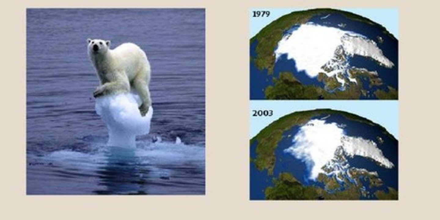 <p>таяние ледников</p>