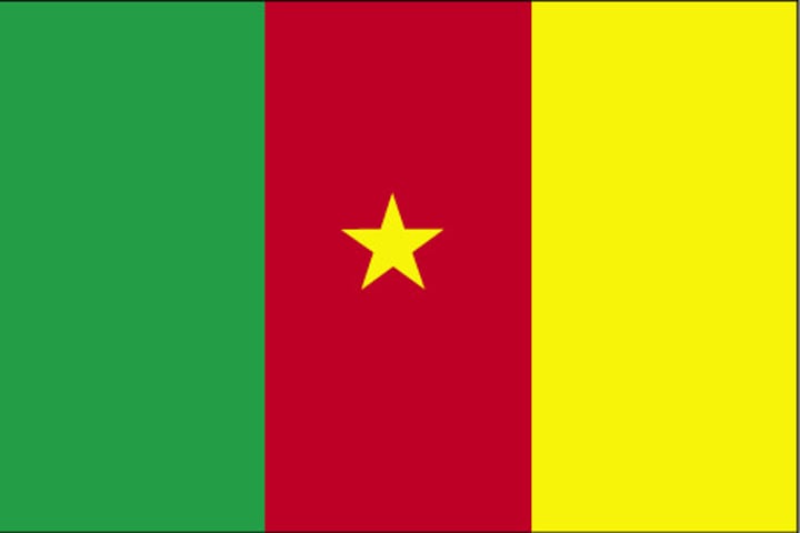 <p>Uses the traditional Pan-African colors. </p><p>Red = unity, and the star is referred to as "the star of unity". </p><p>Yellow = the sun and the northern savannas.</p><p>Green = the southern forests.</p>
