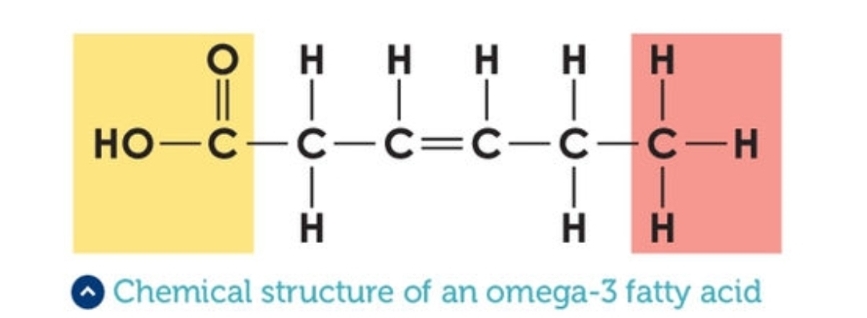 <p>Polyunsaturated fatty acids with a double bond between the third and fourth carbon atoms.</p>