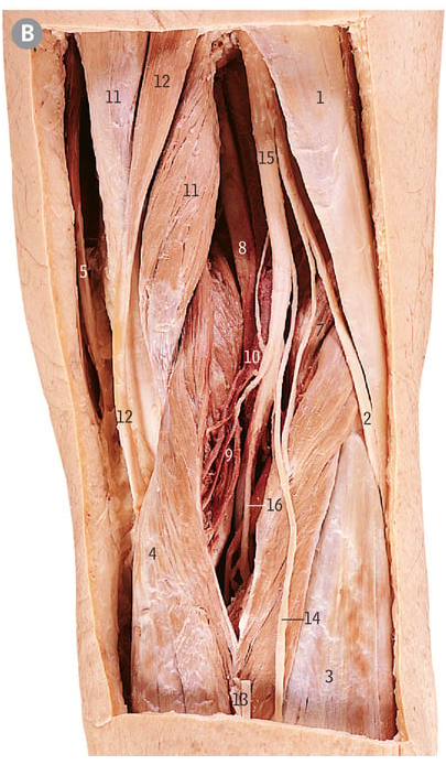 <p>4</p>
