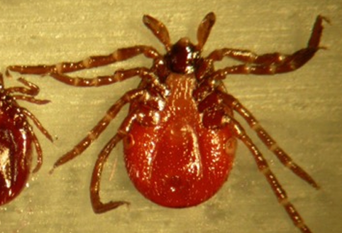 <p>What does this image show?</p>