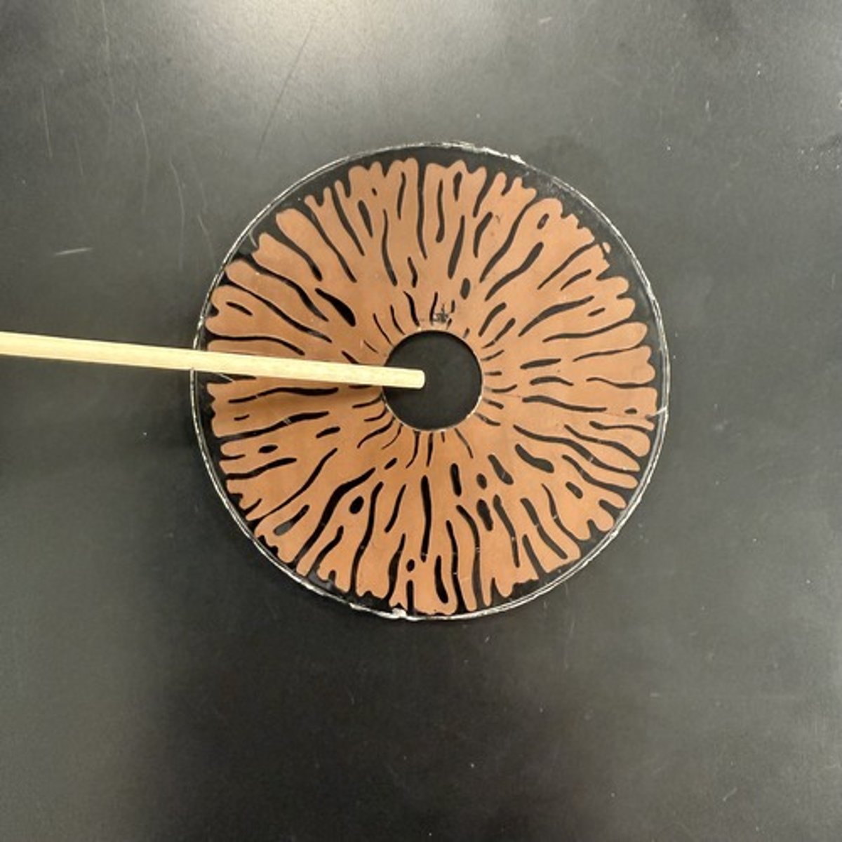 <p>What is this structure?</p>