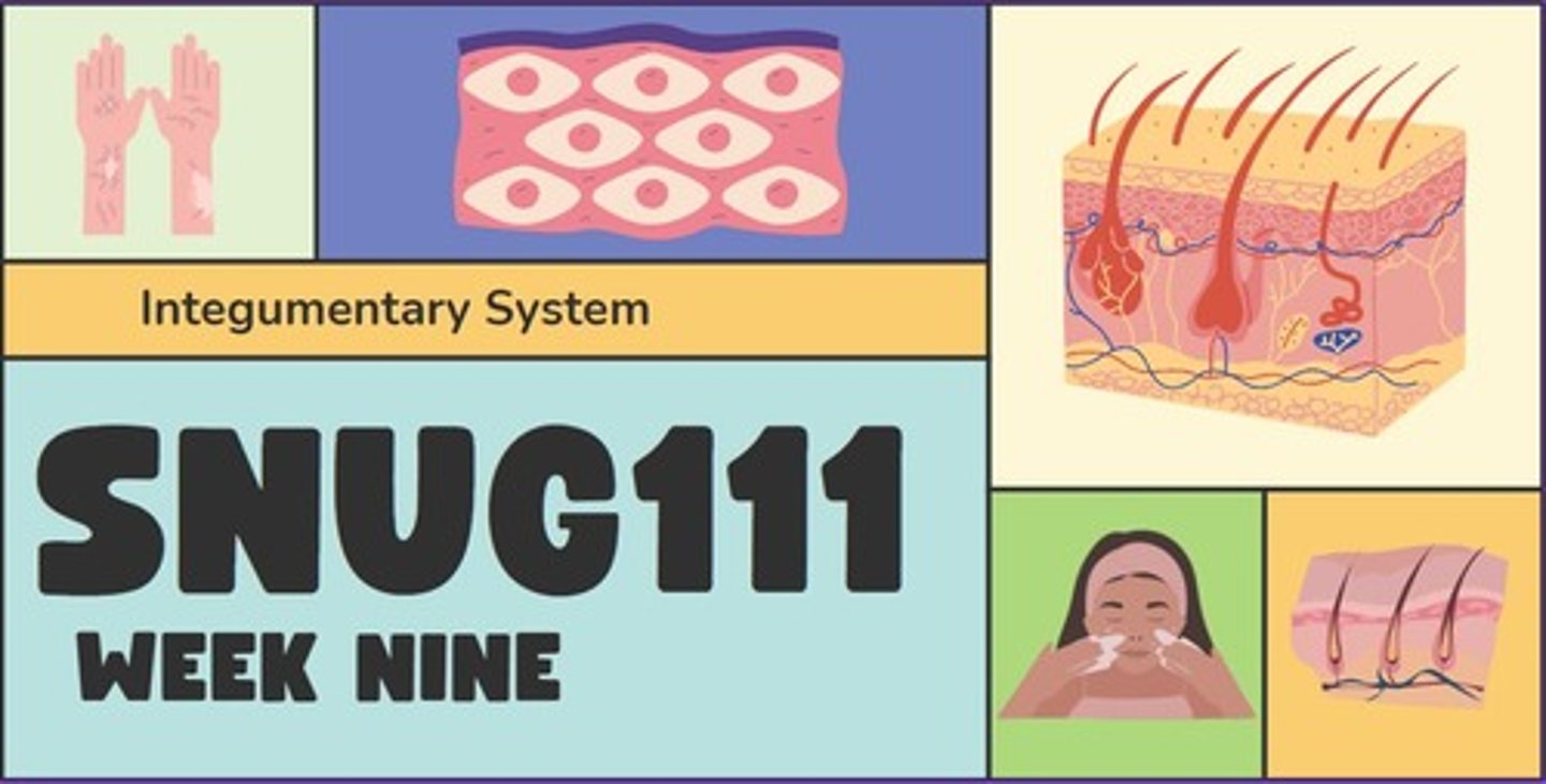 <p>states that <mark data-color="green" style="background-color: green; color: inherit;">living organisms must be </mark><u><mark data-color="green" style="background-color: green; color: inherit;">able to </mark></u><strong><u><mark data-color="green" style="background-color: green; color: inherit;">maintain its boundaries</mark></u> </strong>so that its <mark data-color="#e8fada" style="background-color: rgb(232, 250, 218); color: inherit;">"inside" remains distinct from its "outside"</mark>.</p>