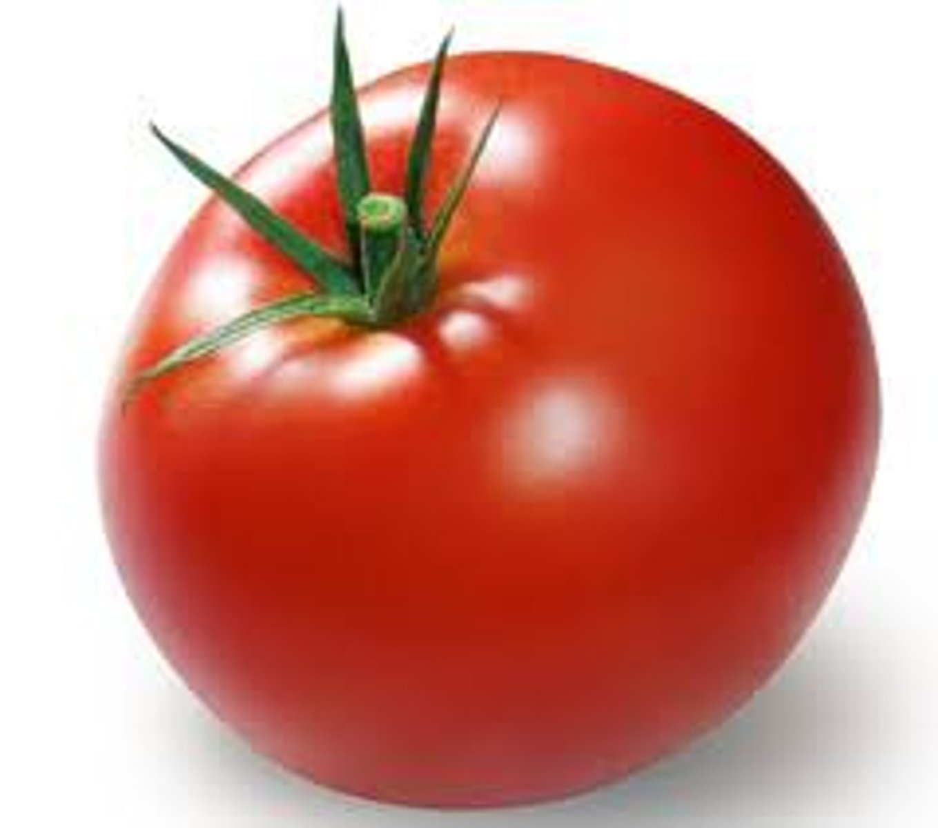 <p>tomato</p>
