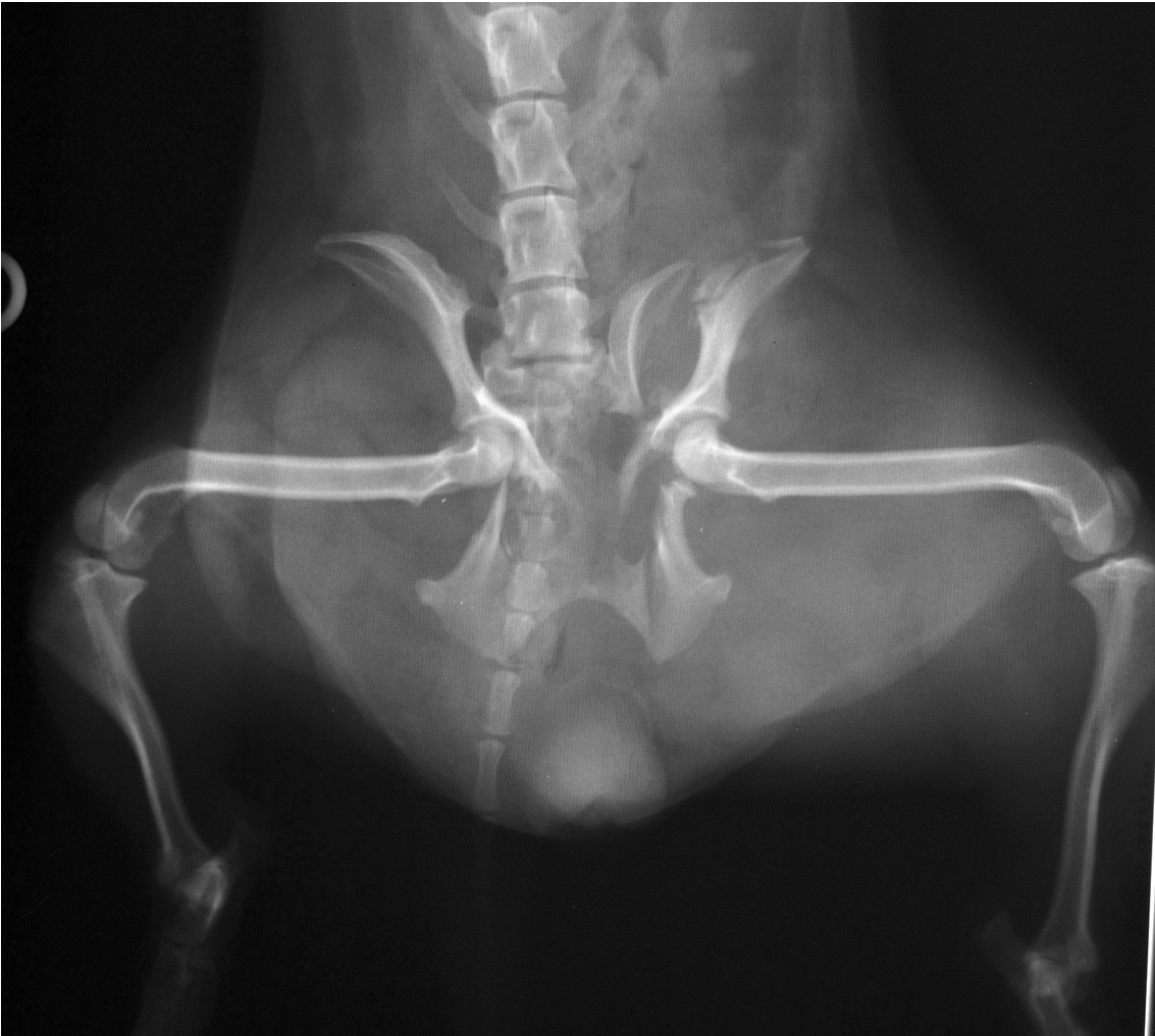 <p>what condition is this?</p>