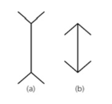 <p>What Illusion is this and what causes it?</p>