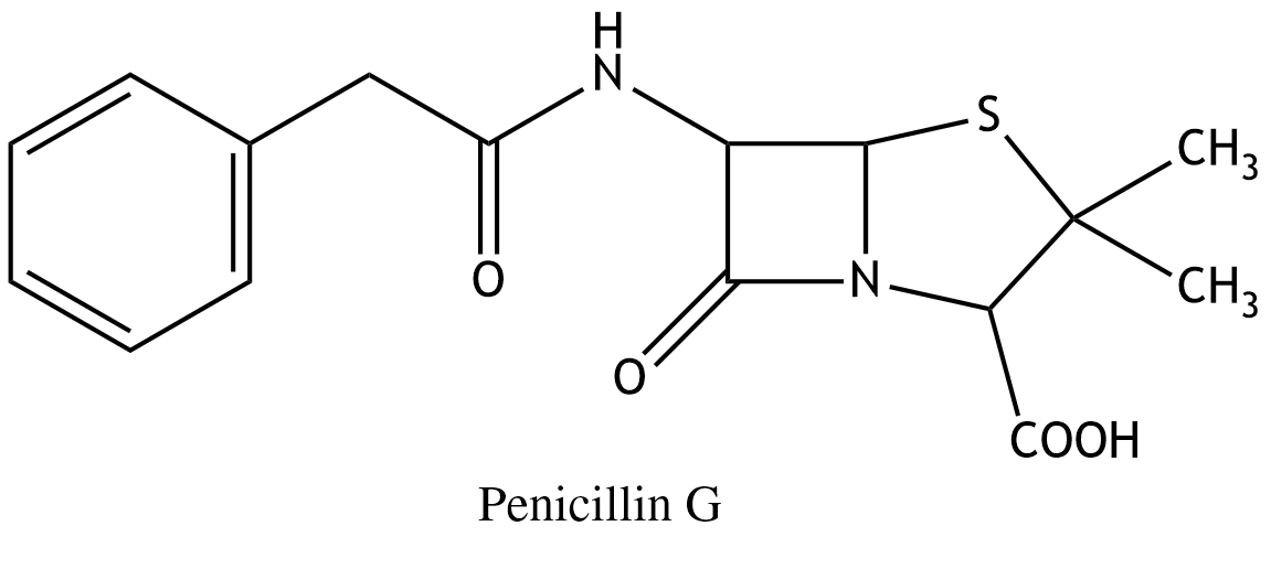 <p>13. Penicillin G is used as an antibiotic against certain bacterial infections. The bacterial enzyme transpeptidase interacts with the antibiotic, and the four-membered ring structure (the β-lactam ring) plays an important role in this interaction. This four-membered ring is:</p><p>A. A cyclic carboxylic acid amide</p><p>B. A cyclic carboxylic acid anhydride</p><p>C. A cyclic ester</p><p>D. A cyclic ether</p><p>E. A cyclic thioester</p>