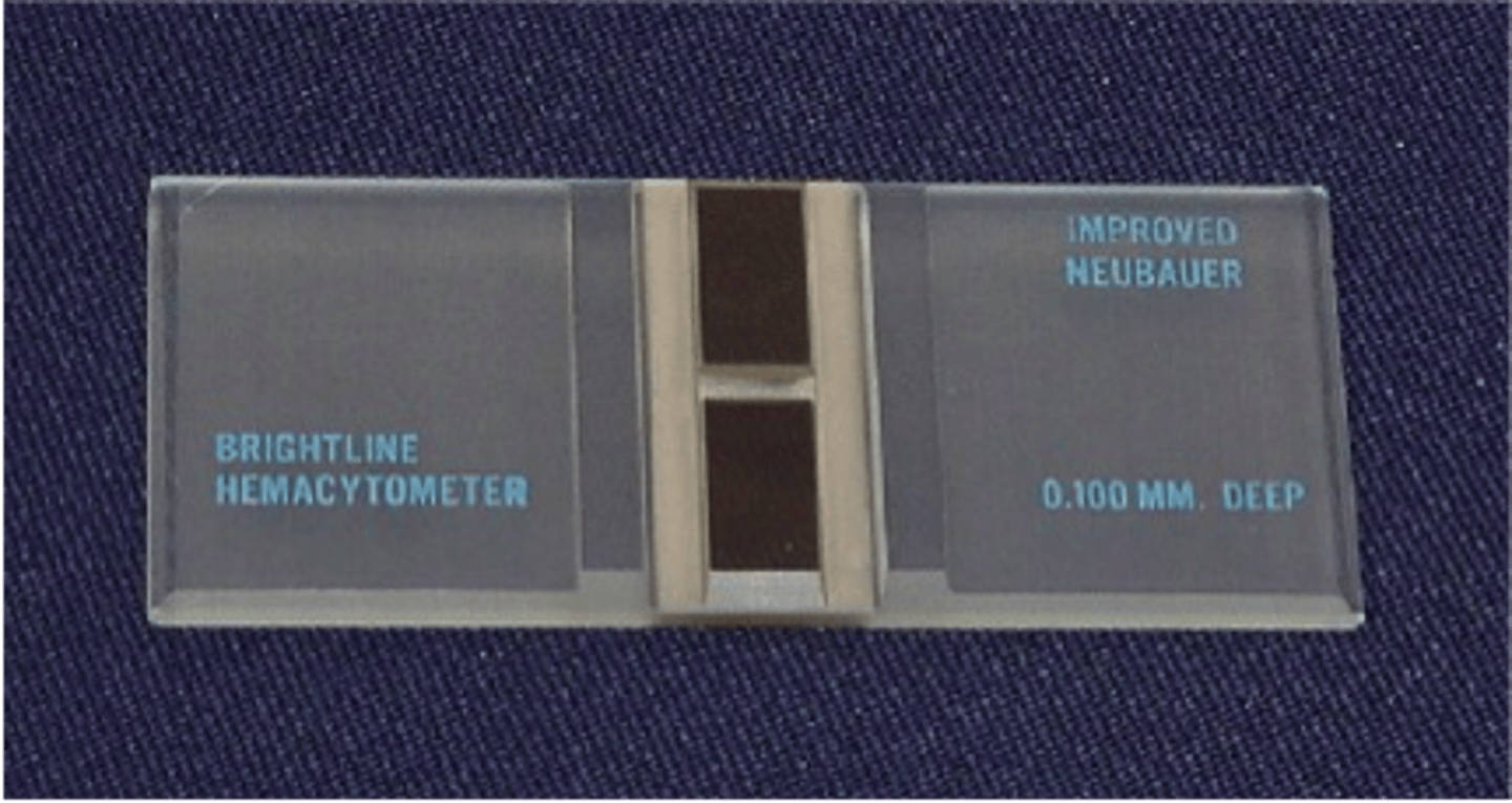 <p>a specialized microscope slide that contains a grid pattern</p>