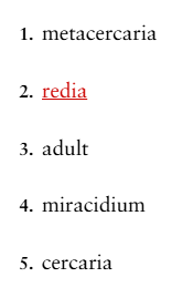 <p>If a snail is the first intermediate host of a parasite with these stages, which stage would be found in the snail?</p><ol><li><p>1﻿</p></li><li><p>2﻿</p></li><li><p>3﻿</p></li><li><p>4﻿</p></li><li><p>5﻿</p></li></ol><p></p>
